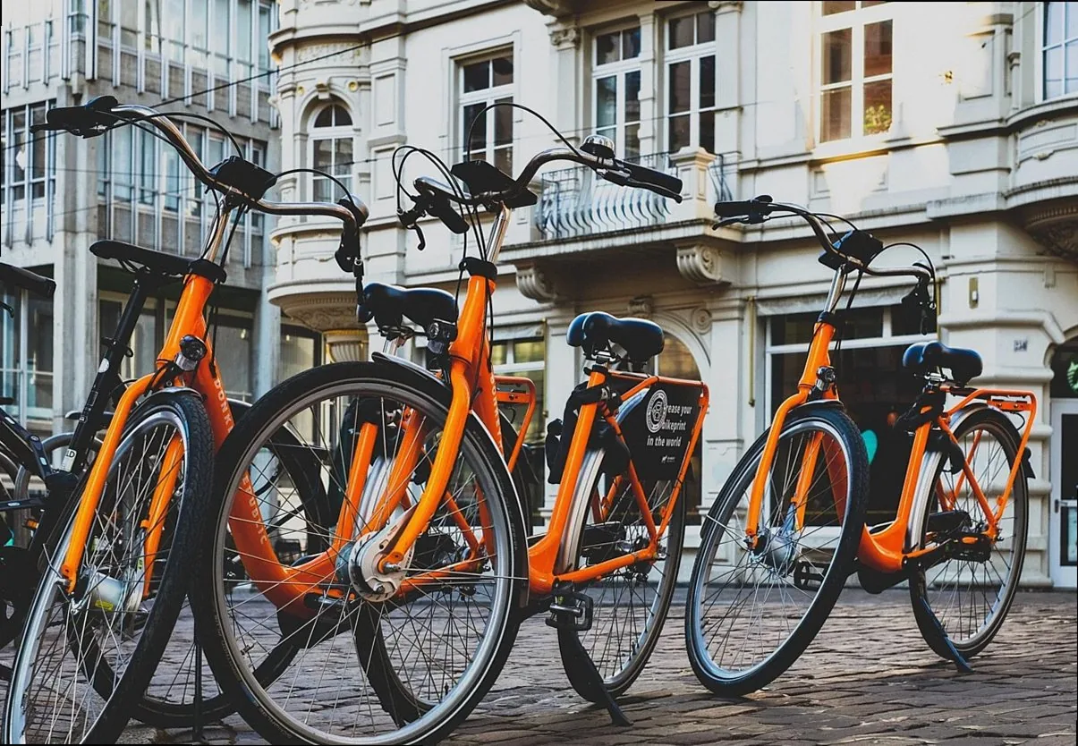 bicycle, wheel, to go biking, tourism, leisure time, means of transport, cycle, rent, rental bikes, rental bike, outdoor